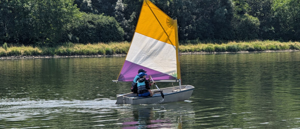 Louveteaux sur un optimist